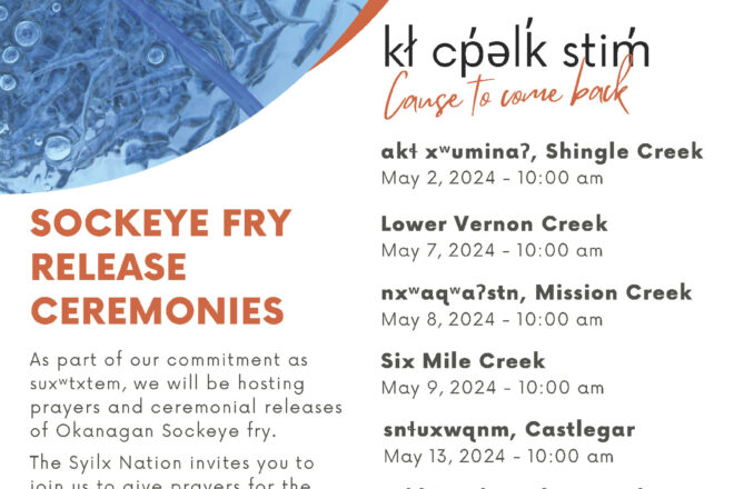 Sockeye Fry Release Ceremony – May 9th, 10AM @ Six Mile Creek