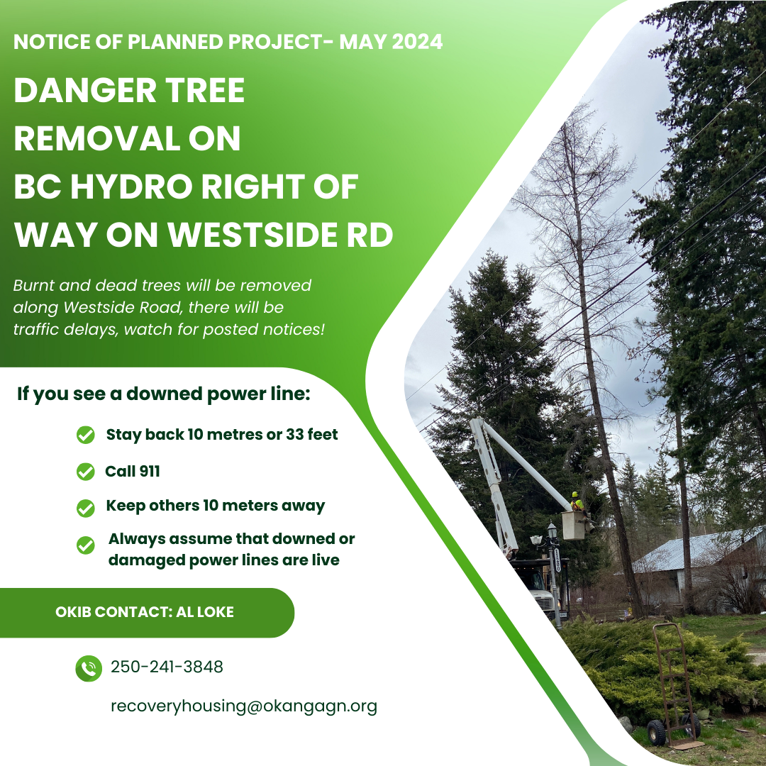 Danger tree removal – May