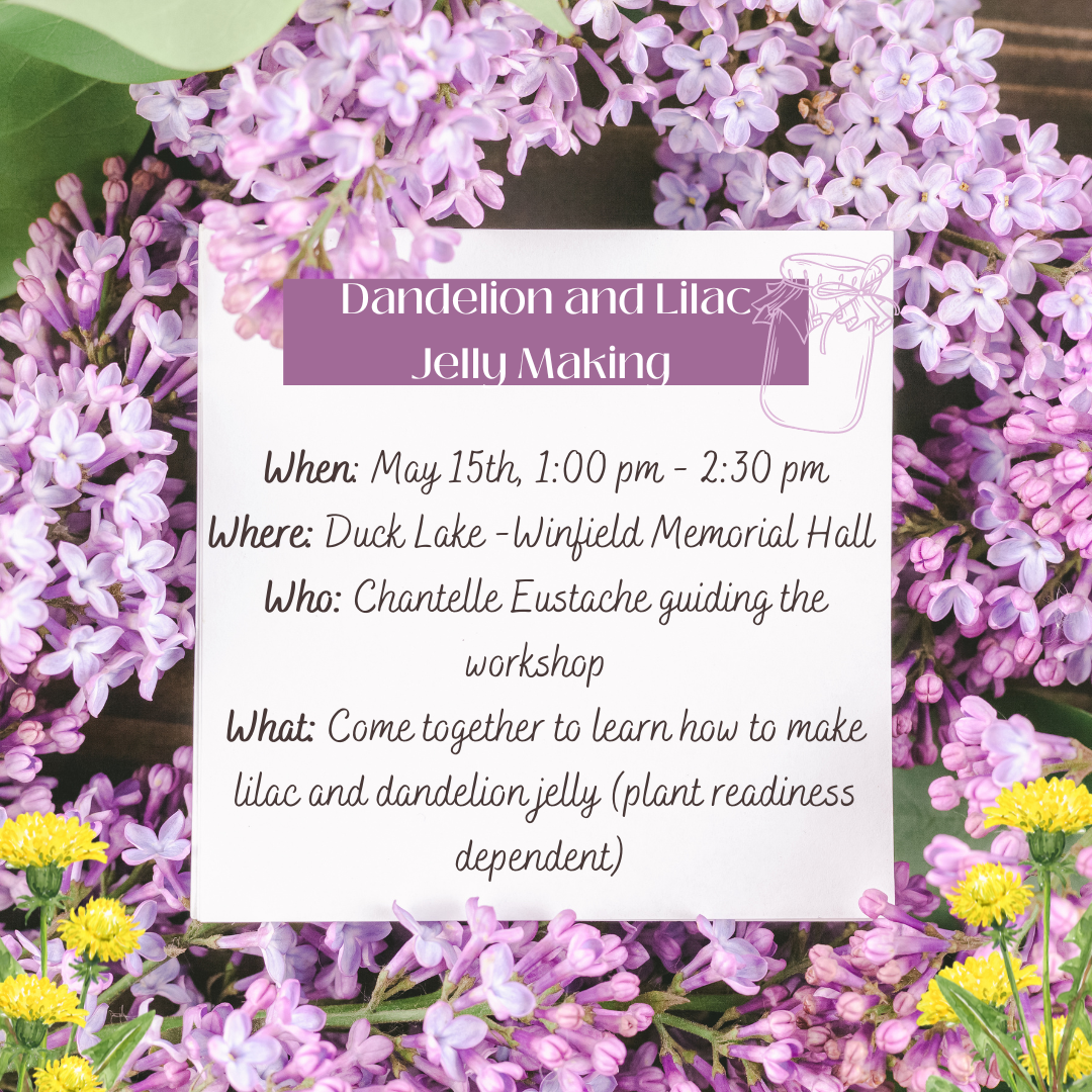 Dandelion and Lilac jelly making workshop
