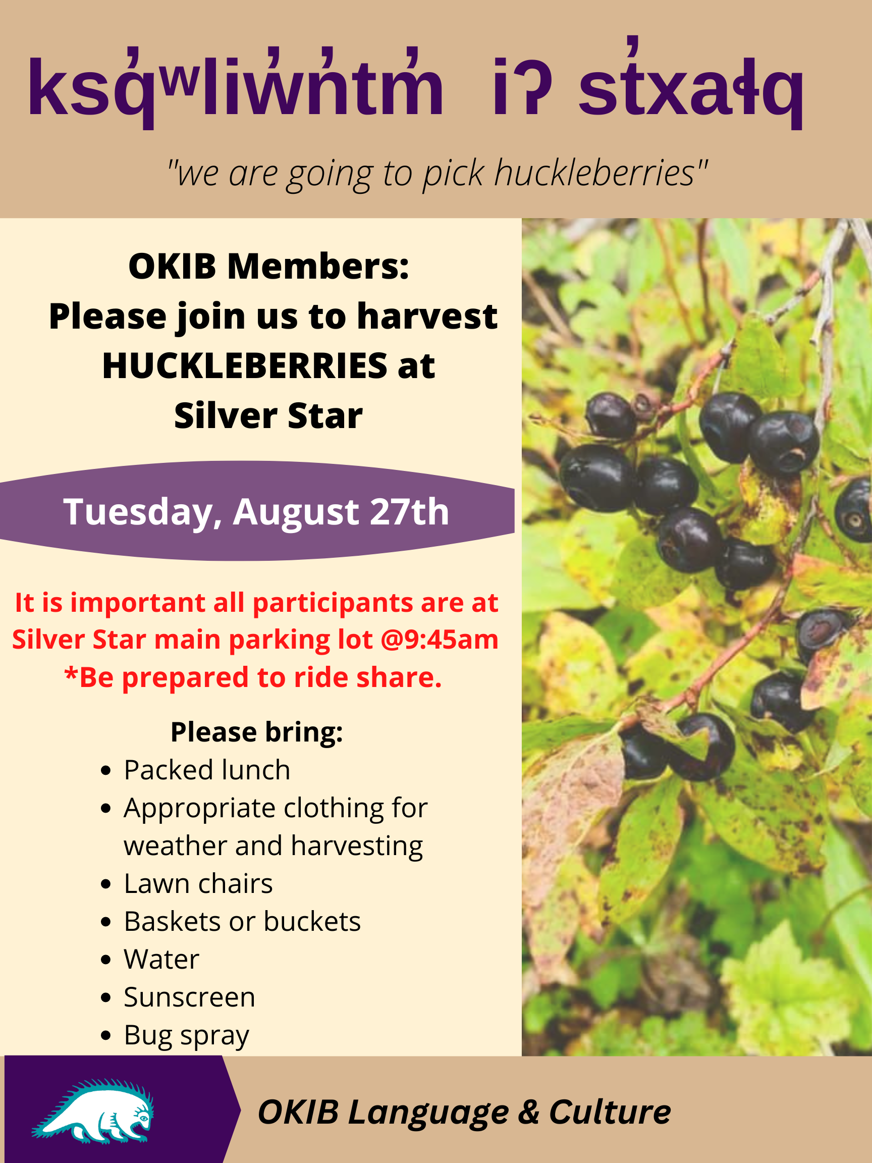 Huckleberry picking – August 27th