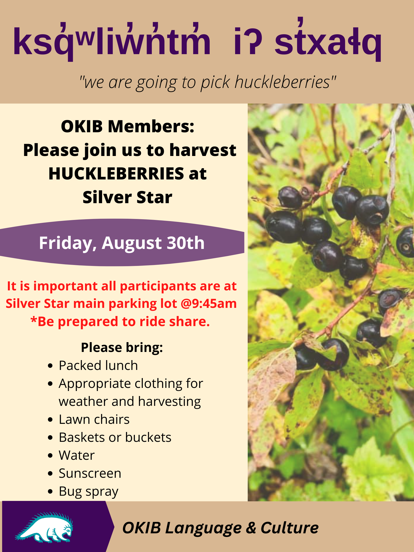 Huckleberry picking – August 30th, beginning at 9:45am at Silverstar