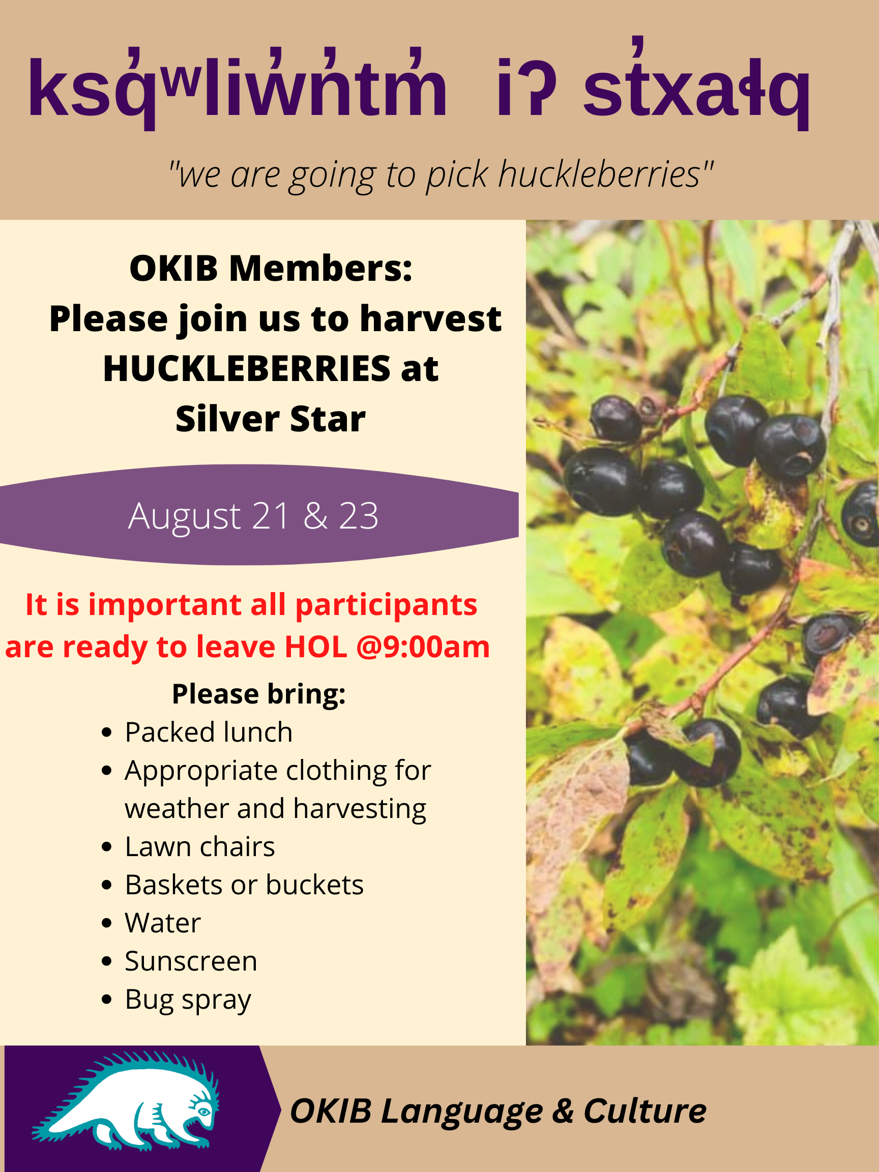 Huckleberry picking – August 21st and 23rd