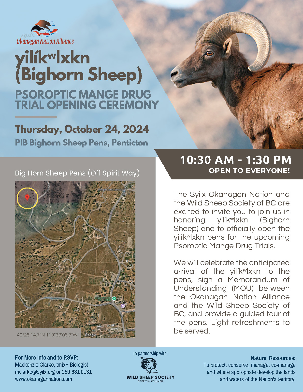 yilíkʷlxkn (Bighorn Sheep) Psoroptic mange drug trial opening ceremony