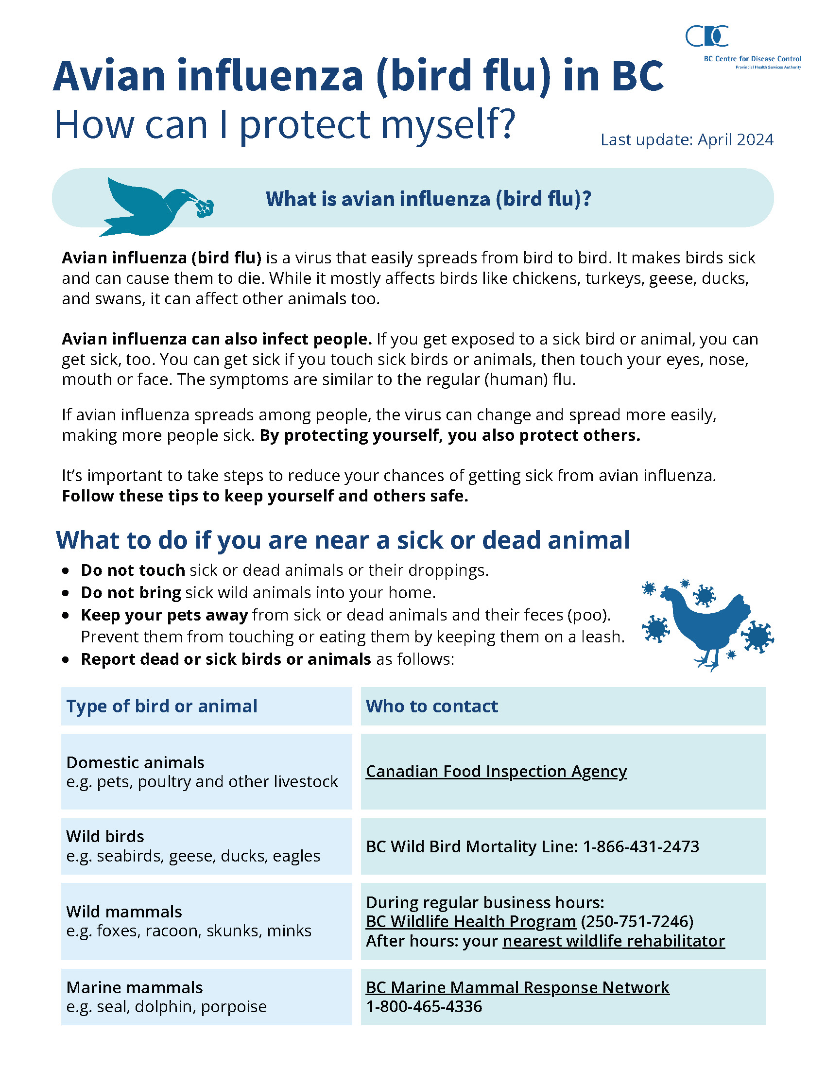 Avian Flu: How to protect yourself