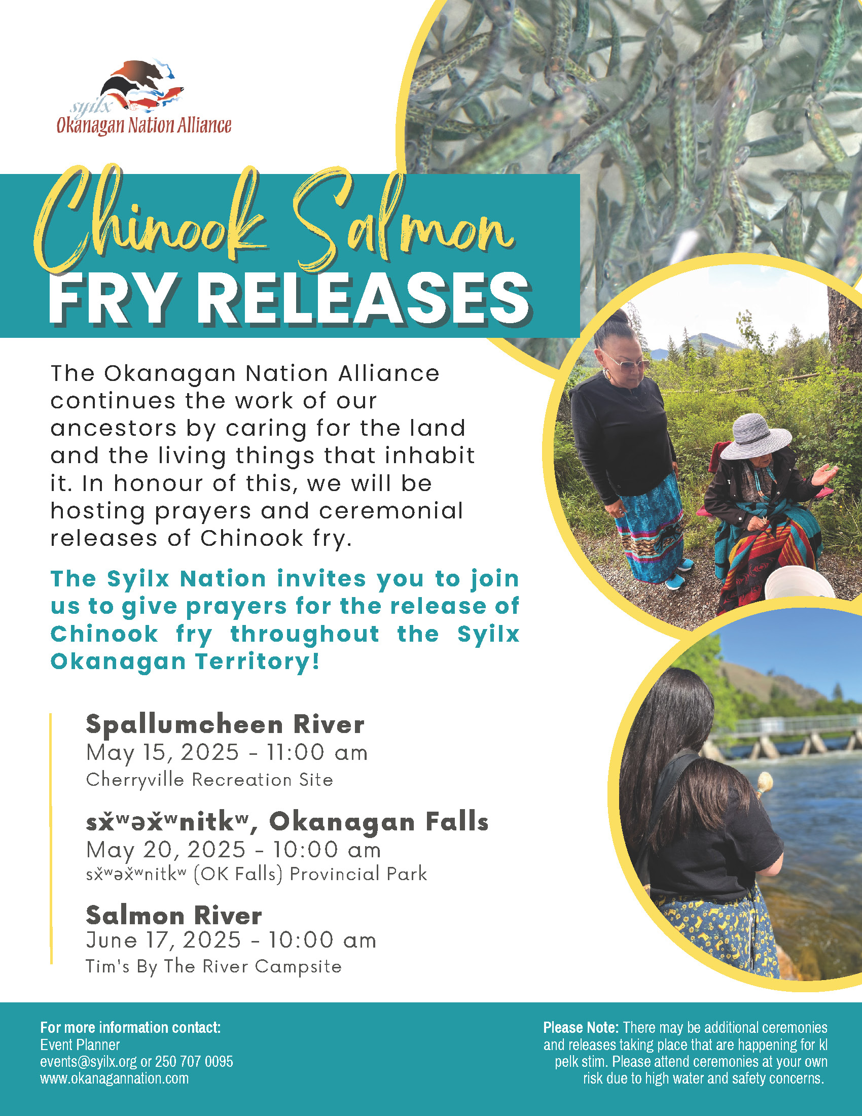 Chinook Salmon fry release ceremonies