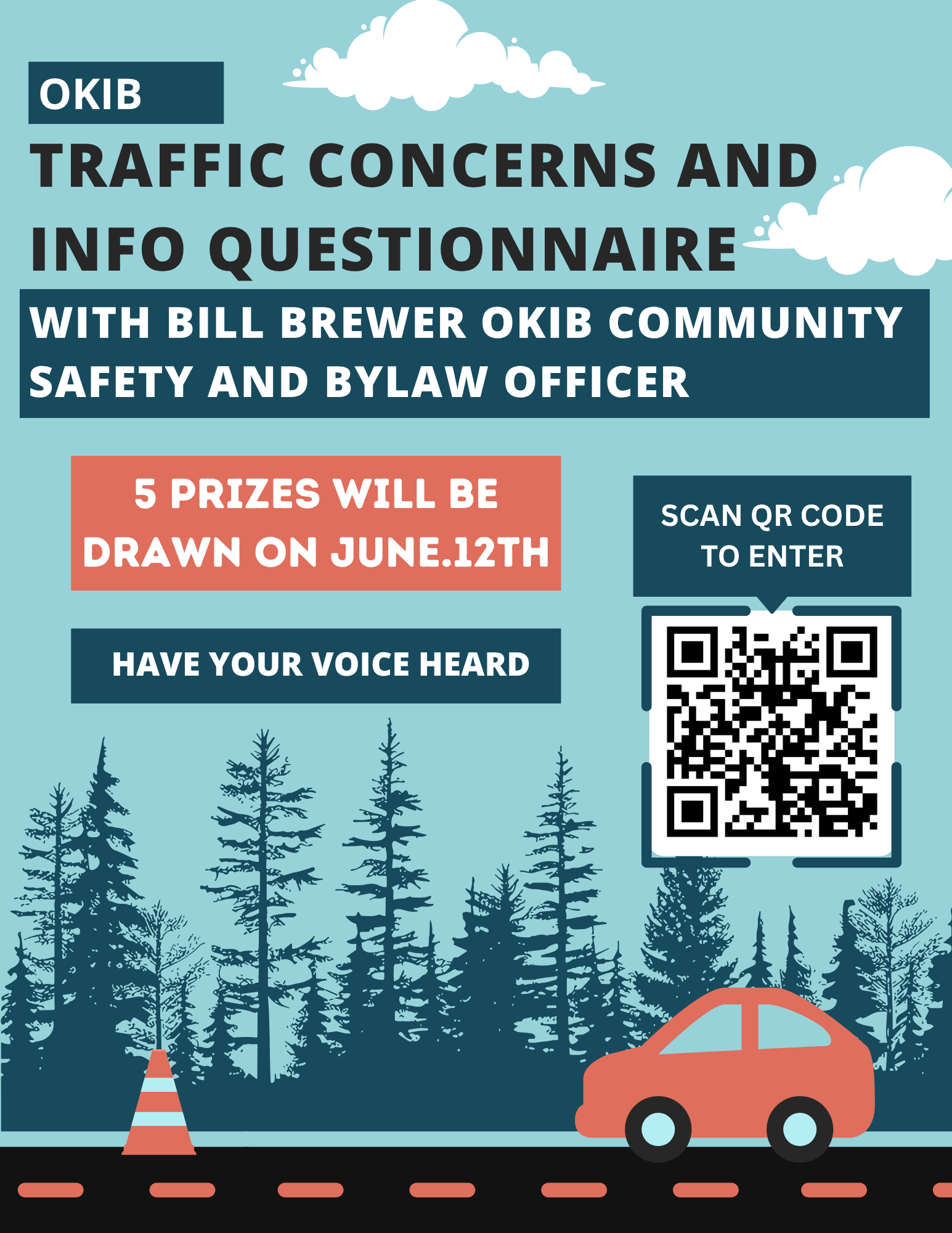 Traffic Concerns Questionnaire