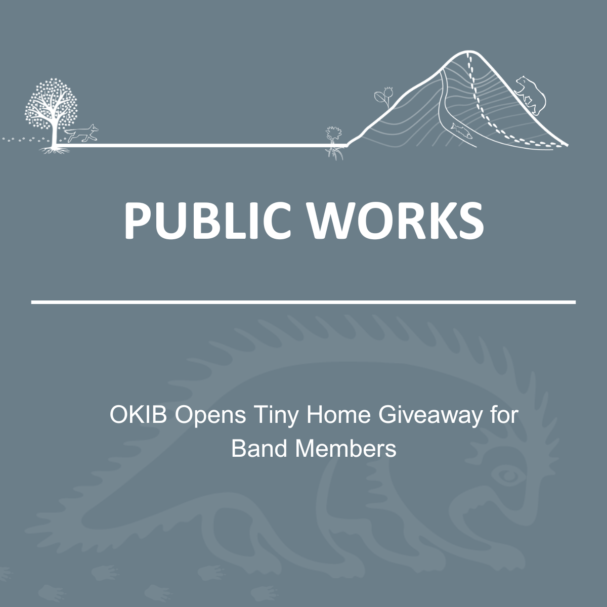 OKIB Opens Tiny Home Giveaway for Band Members