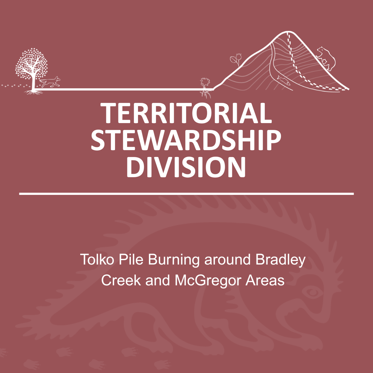 Community Update – Planned pile burning around McGregor and Bradley Creek areas