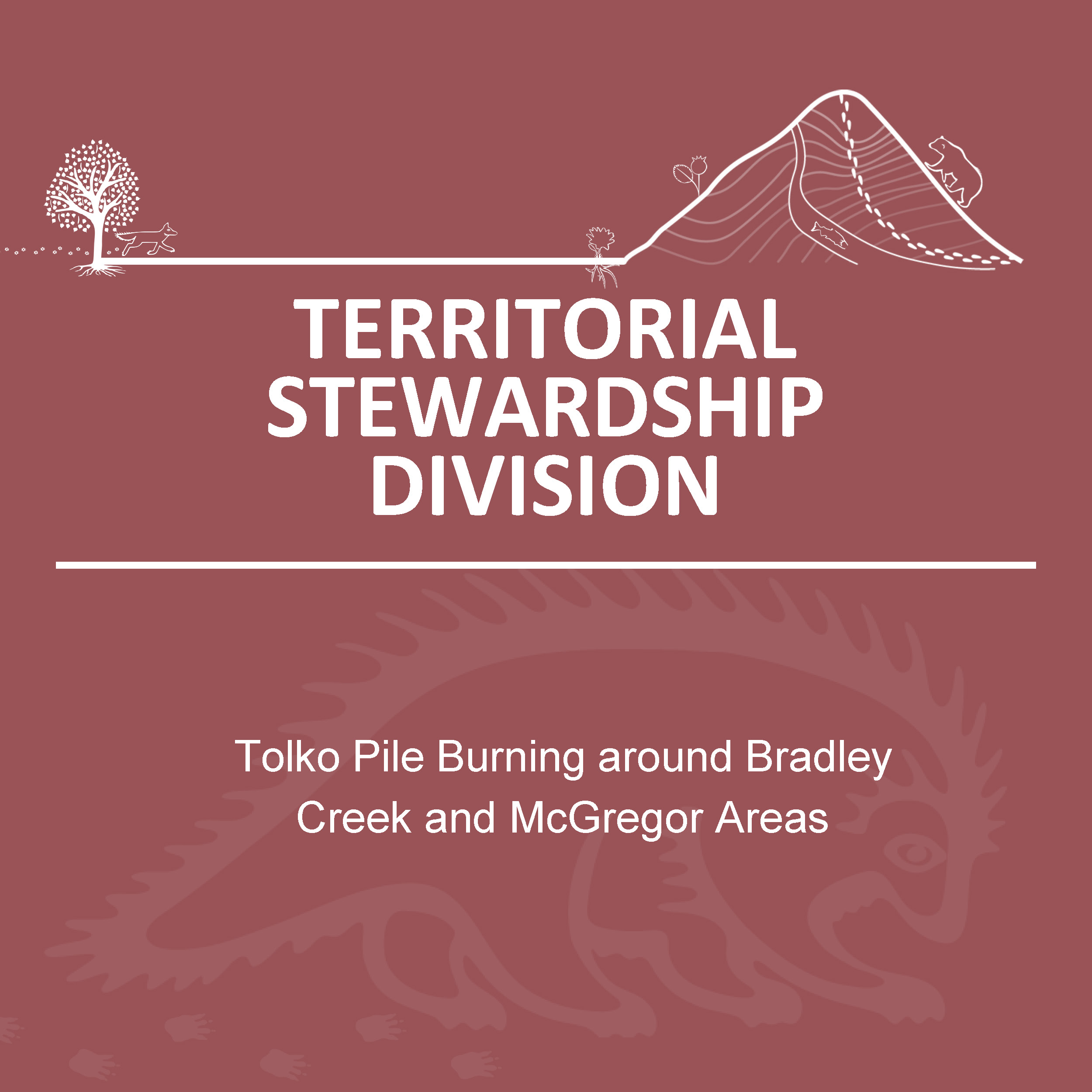 Notice of Pile Burning Around Bradley Creek and McGregor Areas