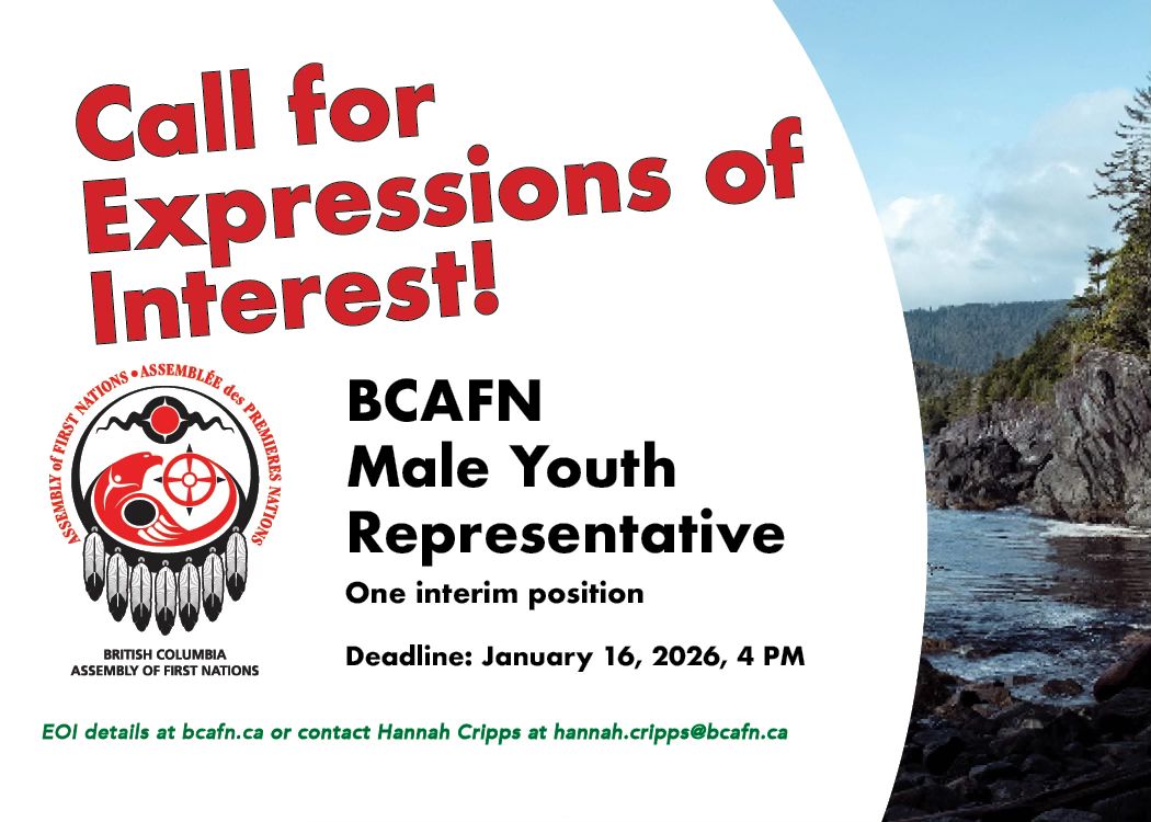 Call for Expressions of Interest for an Interim BCAFN Male Youth Representative