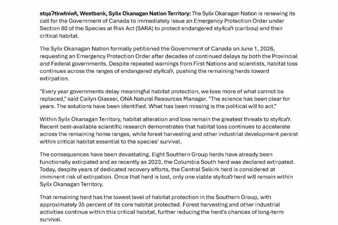 The Syilx Okanagan Nation Renews Call for Emergency Protection as Southern Mountain Caribou Face Imminent Extirpation in Syilx Territory