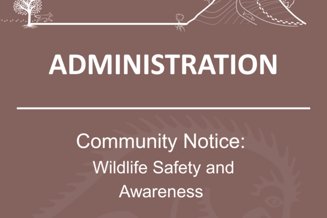 Community Update: Wildlife Safety and Awareness