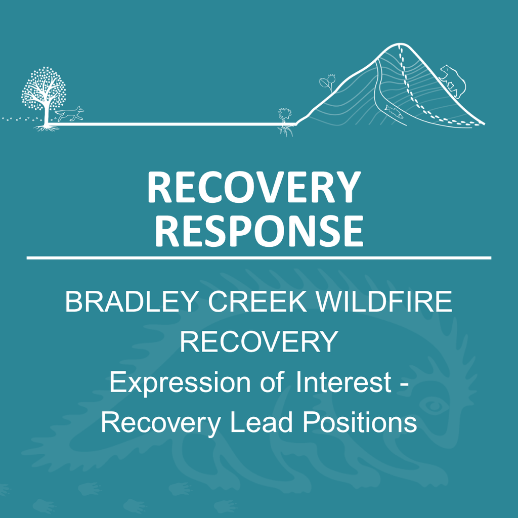 Community Update: Expression of Interest (Recovery Lead Positions ...