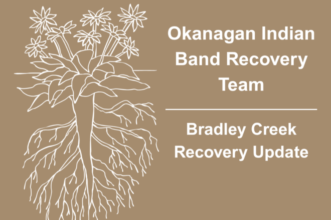 OKIB MEMBERS – BRADLEY CREEK WILDFIRE RECOVERY UPDATE